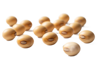 A close up studio shot of a cluster of light brown soybeans arranged in an organic formation against a stark black background highlighting their natural texture and shape