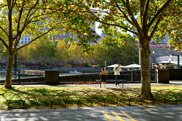 Shaded trees and a couple sitting on a bench along the Yarra River in Melbourne CBD, Australia, offering a peaceful green space in the city center.