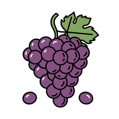 Cartoon Purple Grapes with Green Leaf on White Background Isolated Vector