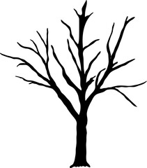 Assortment of Bare Tree Isolated Winter tree silhouette  tree silhouettes in black 