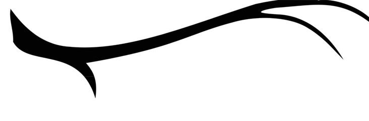 Assortment of Bare Tree Isolated Winter tree silhouette  tree silhouettes in black 