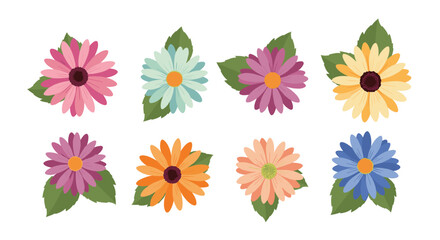 A collection of colorful daisy like flowers with green leaves in a scattered arrangement for decorative purposes.