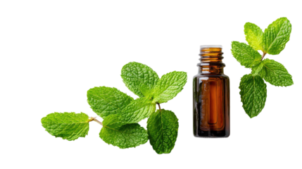 Fresh mint leaves and a small brown bottle, suggesting essential oil