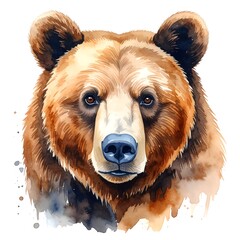 Watercolor portrait of a brown bear's head, looking directly at the viewer, set against a white background with watercolor splatter
