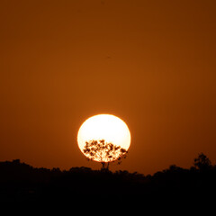Golden Sunset Over Silhouetted Landscape With A Lone Tree At Dusk