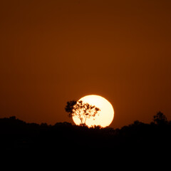 Golden Sunset Over Silhouetted Landscape With A Lone Tree At Dusk