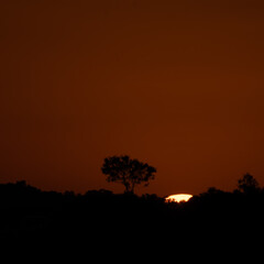 Golden Sunset Over Silhouetted Landscape With A Lone Tree At Dusk