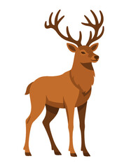 Adult Male Deer Animal Forest Wildlife Stag Antlers