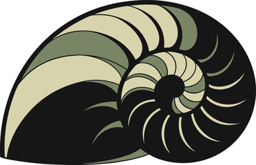 Obraz premium Stylized Nautilus Shell Illustration