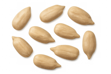 Peeled sunflower seeds, healthy snack food ingredient