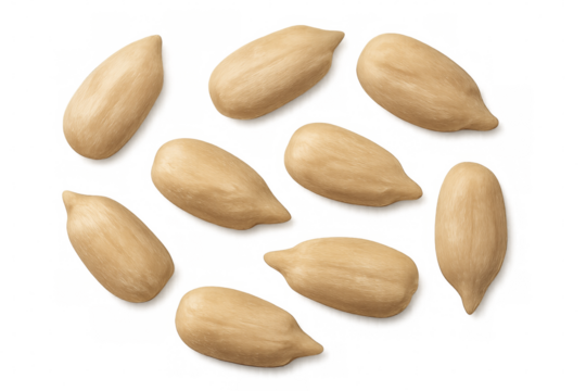 Peeled sunflower seeds, healthy snack food ingredient