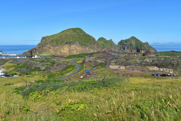 A grassy meadow and a large rocky mountain in the distance