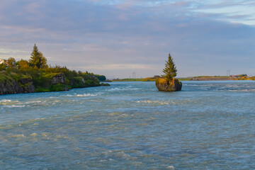 A lonely spruce tree growing on a rock in the middle of a river