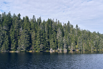 Landscape of the Totenåsen Hills Coniferous Forest Reserve, with the Fugletjernet Lake, September 2025.