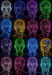 Colorful Human Head Anatomy Illustrations.