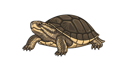 Naklejka premium Curious turtle with intricate shell details explores its environment, embodying patience and resilience