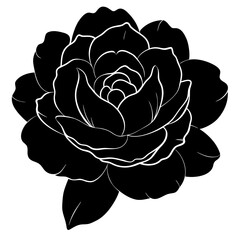  peony-flower vector design 