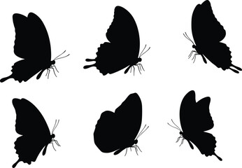 Butterfly silhouette collection on white background, insect shadow vector, butterfly wings outline, flying insect design, decorative butterfly art, nature illustration