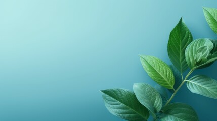 beautiful lush green leaves, soft focus background, detailed botanical illustration, nature, minimal, peaceful, serene, calming, vibrant colors, natural lighting, high quality
