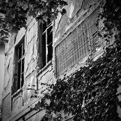 Black and white photo of abandoned building with cracked walls and broken windows. Nature reclaims urban decay. Ideal for editorial, architecture, and contrast-themed visuals.