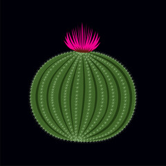 Cartoon succulent cactus with blooming pink flower, flat vector illustration isolated on black background. Desert spiky plant with blossoming flower. Wild nature botany