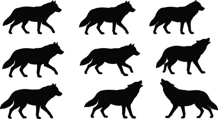 Wolf silhouette vector set, wild animal illustration, black howling wolves, walking and standing poses, wildlife design element, forest nature art