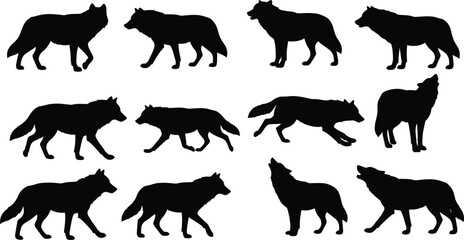Wolf silhouettes in various poses, wild animal outlines, predator shapes for design, wildlife vector art, forest creatures, hunting wolves illustration
