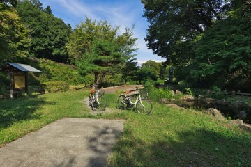 公園でサイクリング