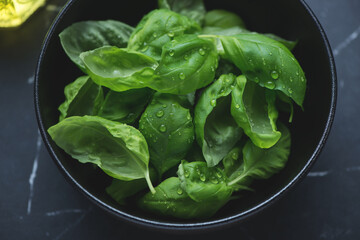 Black bowl with fresh green basil leaves, horizontal shot, middle close-up