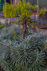 A decorative metal garden obelisk finial sits nestled among spiky, blue-green foliage with a yellow sunflower blurred in the background on a sunny day.