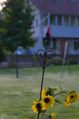 A black wrought iron garden stake with a decorative heart and a fleur-de-lis top stands in a grassy yard with a blurred, misty background.
