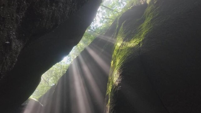 美しい太陽の光を捉えた4K映像（日本）