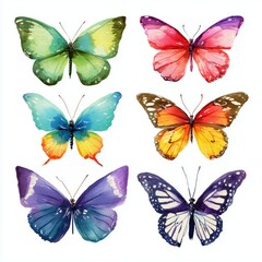 Obraz premium Watercolor butterflies isolated on white background cut out png