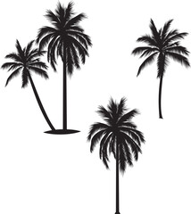 set of palm trees