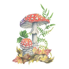 Watercolor toadstools with autumn leaves and forest fern. Hand-painted composition. Watercolor illustration of amanita mushrooms among dry foliage and pine needles. Perfect for seasonal decor