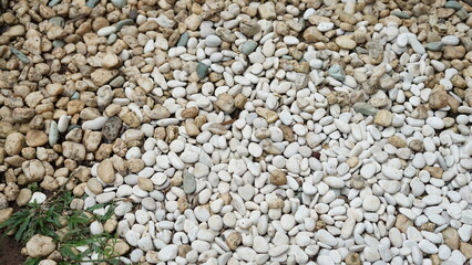 small pebbles or small river stones, arranged in front of the house, usually for foot therapy, white, brown and black in color