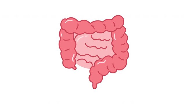 intestine body organ icon