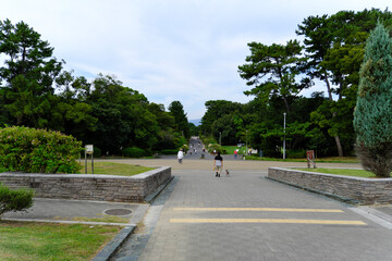 People Jogging and Walking in a Green Park Path: Outdoor Exercise and Healthy Lifestyle

