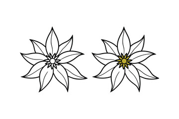 Simple black and white illustration of two edelweiss flowers in detail
