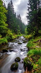 Obraz premium Serene stream flows through lush, green forest, rocks dotting its path under a cloudy sky