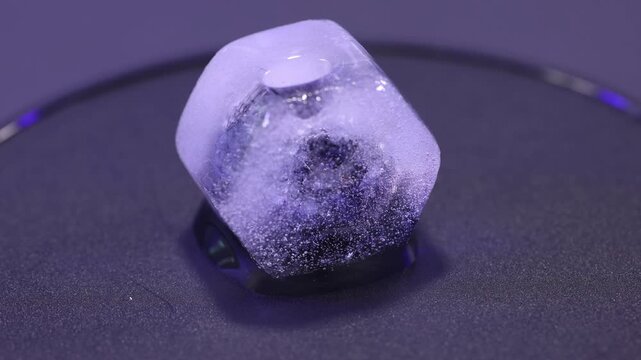 Blueberry Ice Cube Melt Timelapse Macro