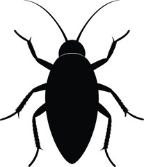  Black beetle insect macro closeup isolated on a white background