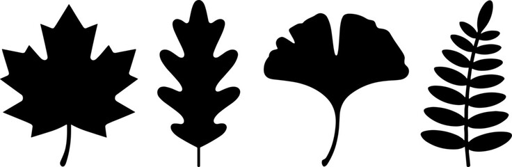 Fototapeta premium Silhouette Leaf Collection for Nature Inspired Design Projects