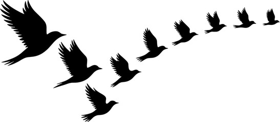Obraz premium Silhouette of Flying Birds in Formation for Creative Design Projects