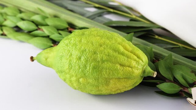 Sukkot Symbols. A composition featuring Sukkot items like an etrog, lulav, and traditional textiles