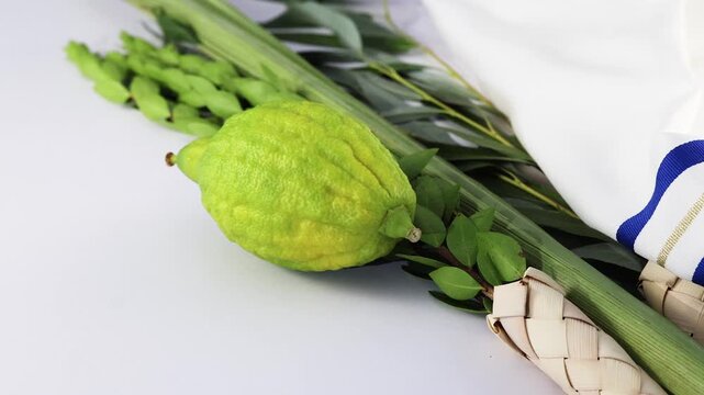 Sukkot Symbols. A composition featuring Sukkot items like an etrog, lulav, and traditional textiles
