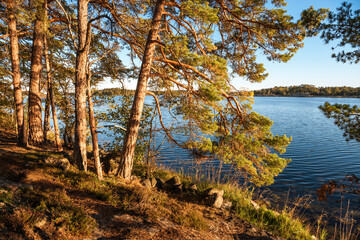 Åsevikelandet in Sweden is a nature reserve by the baltic sea with beautiful coastline and old growth forests.