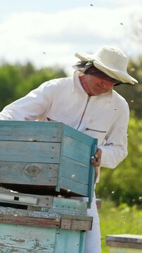 Handsome beekeeper working with honeycombs. Young beeworker in uniform. Vertical video