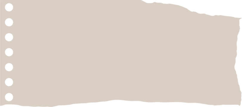 crumpled paper Pieces of  PapeR paper tears  Old wrinkled torn vintage paper texture