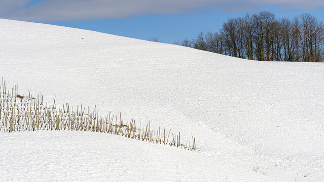Neve sulle Langhe